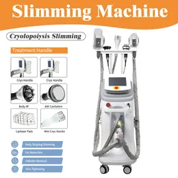 Fat Freezing Slimming Body Sculpting Machine with Double Cryo Handles/Double Chin Liposuction Head/40K/RF