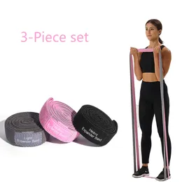 Fitness lång motstånd band 3-bitars uppsättning Yoga Pull Up Assist Booty Hip Workout Loop Elastic Bands Gym Training Exercise Equipme