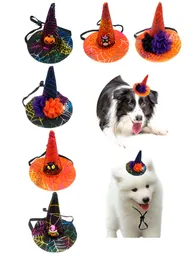 Dog Odzież Halloween Kapelusze Zwierząt Z Dyni Bat Owl Ozdoby Kot Psy Czapki Kostium Party Puppy Kitty Head Decoration Phjk2109