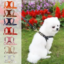 8 Color Fashion Luxury Cat Dog Collars Leashes Set Pets Harnesses Retro Leather Pet Collar Designer Belt Poodle Schnauzer Small Size dogs Rope Neckcollar Golden