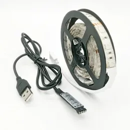 ZDM 100 cm 5V Vattentät 1M USB LED -ljusremsa 15W 5050RGB 60 lysdioder (DC5V)