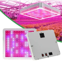 Full Spectrum LED Grow Light 2000W With VEG And BLOOM Double Switch Plant Lamp for Indoor Hydroponic Seedling Tent Greenhouse Flower