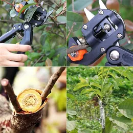 Med detaljhandelsförpackning ympning Pruner Pruner Trädgårdsverktyg Professionell gren Cutter Secateur Pruning Plant Shears Boxar Fruit Tree ympningar