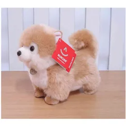 Aurora Pomeranian Doll Frize Puppy Faszerowane Shunsuke Dog Animal Pluszowe Zabawki Śliczne Symulacja Zwierzęta Puszyste Lalki Prezenty Urodzinowe 210728