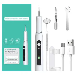 Fabriks grossist elektrisk ultraljud Dental tand rengörare LED Ljus Hem Använd CE CE RoHS USB Uppladdningsbara Tänder Whitening Tartars Stain Clean Remover Portable Scaler