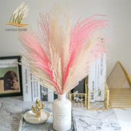 pampas erba decorazione bianco rosa colore matrimonio fiori piante naturali fiori secchi bouquet soffici decorazioni per la casa 210317