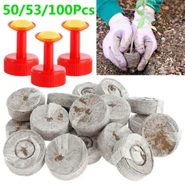50/100/Pcs Nutrient Block Seeds Nursery Pots Peat Pellets Propagation Nutrient Blocks Plugs Starter Seedling Tray Garden Tools 210615