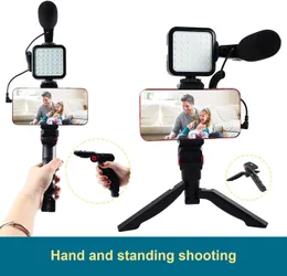 C2 Condenser Microphone With Tripod LED Fill Light For Professional Photo Video Camera Phone For Interview Live Recording