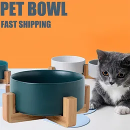 Ceramic Double Cat Bowl with Stand Pet Feeding Drinking and Dog Feeding Supplies