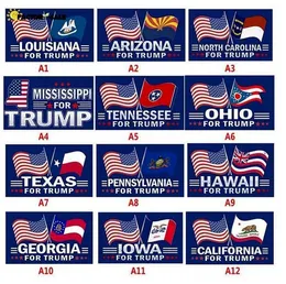 Donald Trump Flags 3x5 FT 2024에 대해 투표 한 나를 비난하지 마라 그로밋과 애국적인 선거 장식 Banne 496