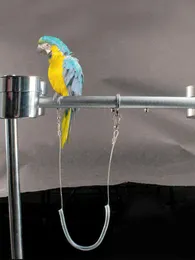 Andra fågelförsörjningar 3m ultralätt papegoja sele koppel anti-bit utomhus flygande träning rep husdjur för macaw cockatiel lovebird