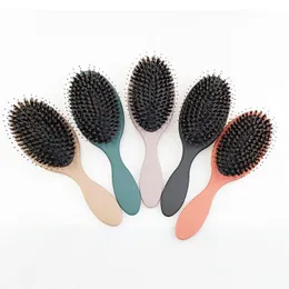 Rainbow Color Air Cushion Comb Massage Hårborstar Anti-statisk Gasbag för Salon Scalp Relax Hairdressing Styling Tools