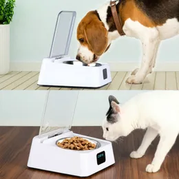 Automatic Cat Feeder: Smart Pet Food Dispenser With Infrared