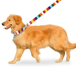 Wunderschönes, modisches Hundehalsband mit Regenbogenstreifen, Leinen, Geschirre, Set, verstellbar, langlebig, farbecht, geeignet für kleine, mittelgroße und große Hunde, Größe Extra S, 20,3 cm bis 30,5 cm lang