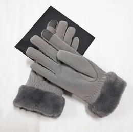 Nieuwe damescanvas Cashmere Handschoenen Herfst Warm Pluche Winddicht Vijfvinger Mode Mittens 201