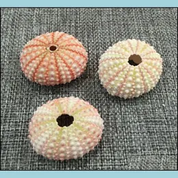 Decorations Aquariums & Fish Pet Supplies Home Garden Air Plants Holders Natural Sea Urchin Shell Wall Hanger Handmade Rope Hanging Plant Wi