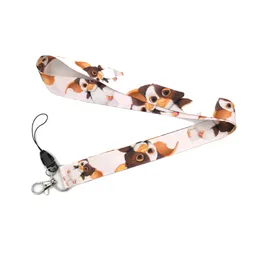 10st RegOly RE08 Gremlins Gizmo Cartoon Neck Lanyards Id Badge Korthållare Keychain Telefonband Presentband Halsband