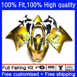 حقن Bodywork Light Golden Light Golden Blackbird CBR1100XX CBR1100 XX 1996 2007 Body 35NO.125 CBR 1100XX 1100 CC XX 96 97 98 99 00 01 02 03 04 05 06 06 07 OEM FALTINGS KIT