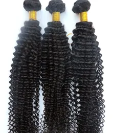 Mink Virgin Hair Extensions Human Hair Weaves Kinky Curly Bundles 100% Obehandlat Peruvian Indian Malaysian Mongolian Bulk Human Hair Wefts