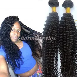 Mink Hair Weaves Virgin Brasilianska Hårbuntar Kinky Curly Wefts 8-34Inkanska Obehandlade Peruanska Indiska Mongoliska Bohemian Hair Extensions