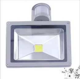 Reflektor zewnętrzny 10W 20W 30W 50W 100W LED LED Flood Light RGB ciepły chłodny biały czujnik Motion Wodoodporny AC85V-265V