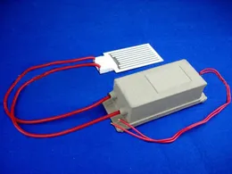 Free shipping hot sller cheap price 6g/h ozone generator cell W/ PLug , DIY Weld