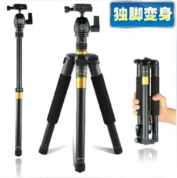 Wholesles Professional Camera Tripods för SLR Canon Nikon Monopod Portable Travel Photography Tripod