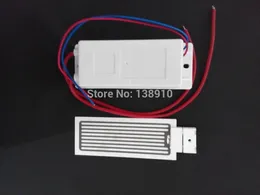 Novo Tipo de Projeto, mais recente de alta qualidade 5G AC110V-240 v Placa De Cerâmica Gerador De Ozônio placa de cerâmica + fonte de alimentação W / PLug, DIY solda