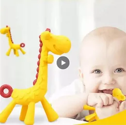 Baby Teether Cartoon ząbkowanie pielęgniarstwa BPA Bezpłatne miękkie silikonowe babe zęby, które źrebięcia molar pręta żyrafa gryzę