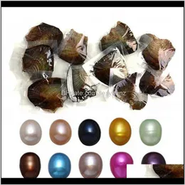 Lose kamienie szlachetne dostawa biżuterii 2021 Hurtowe barwione naturalne perły wewnątrz imprezy z luzem otwarte w domu ostrygi perłowe z pakietem próżniowym