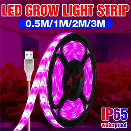 USB phyto 성장 라이트 스트립 0.5m 1m 2m 3m 전체 스펙트럼 2835 SMD 식물 꽃 LED 온실 재배배 DC 5V 수경 램프