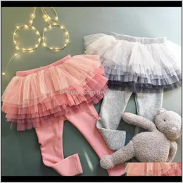 Odzież dziecięca Drop Dostawa 2021 Dziewczynek Legginsy Maluch Dziewczyna Spadek Ubrania Gradient Mesh Culottes Spodnie Baletowe Spodnie Dla Dzieciaka