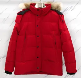 Outdoor snow coats 5 colours Wyndham down jackets with real coyote fur trim men 80% down fill parkas ykk zipper keep warm
