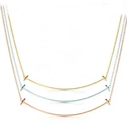 2020 Yeni kolyeler kolye güzel mücevherler 925 STERLING Gümüş Cazibe Kolyeleri Tasarım Kadınların Büyük Boyutlu Kolyeler Takı 20 AA220315