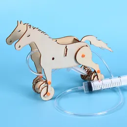 Nowy produkt Kreatywność Self Made Mały wynalazek pneumatyczny strzykawka Hydraulic Hydraulic Horse Manual Material Experiment Science