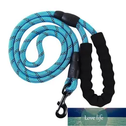 Durable Nylon Dog Sling Color Pet Leash Night Reflective Walking Traction Traction Rope med Collar Leashes