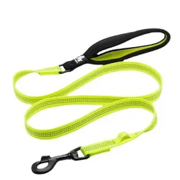 Pies Walking Leash Carabiner Studnia Pomorskie Zwierzęta Pudel Pas Pas Schnauzer Chain Perros Akcesoria 211006