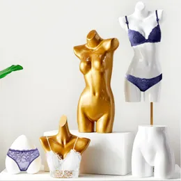 Underwear Mannequin Men's and Women's Bras Display Rack Upper Lower Body Breast Model