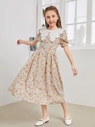 Mädchen-Ditsy-Blumen-bestickte Detail-Aussage-Kragen-Puffarm-Kleid sie