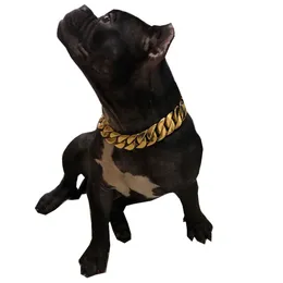 32mm Pet Golden Chain Collar 24K Stainless Steel Dog Collars Leashes Corgi Teddy Bulldog Dogs Leash