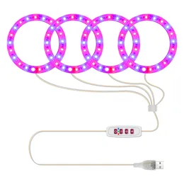 4 Angel Rings LED Grow Light Lâmpada de planta de espectro total para mudas de interior Suculentas e Bloom Luz solar Rosa Vermelho Azul