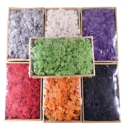 40g de alta qualidade musgo artificial musgo imortal simulação verde planta grama casa decorativa parede diy micro paisagem acessórios