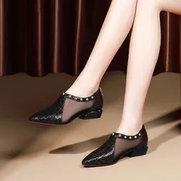 Nowe letnie buty siatki kobieta sandały Hollow Out Kobiety Niskie obcasy Swiling Toe Office Lady Work Shoes Square Heel Korea Gray