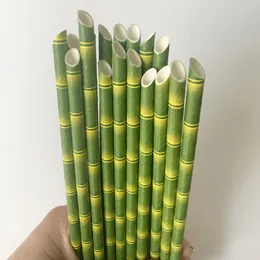 25 sztuk / partia biodegradowalny bambusowy papier słomki ekologiczne przyjazne zielone napoje picia słomy kuchnia bar party dekoracji bh4785 tqq