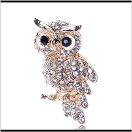 Pin Gioielli Delivery Dleive 2021 Visione della moda Crystal Owl Pins Broochi Sier o Bronzo Metal 5 Colori per Pin Spettatura a scelta PS2976 H4GCS