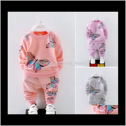 Toddler baby kläder spädbarn skjorta topspants fjäril tracksuit set rujxc sätter mqtge