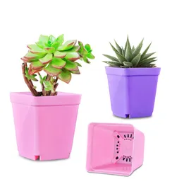 Succulent Plant Plastic Flower Plants Pots 7cm Liten fyrkantig bassäng med bricka plantor miniträdgård leveranser 8802