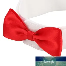 Dog Collars & Leashes Pet Accessories Harnesses Leads Bird Clothes Necktie Lovely Elegant Bowknot Tie Hand-made Small Dog1 Factory price expert design Quality Latest
