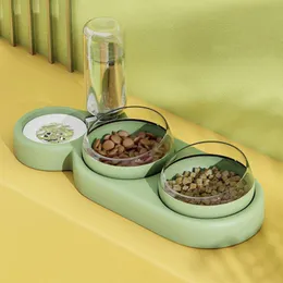Cat Bowls Feeders Pet Bowl Automatisch feeder hondenvoer met waterfontein dubbel voor