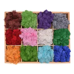 Dekorativa Blommor Kransar DIY Flower Material Konstgjorda Anläggning Moss Muscus Mini Garden Micro Landscape Tillbehör Hem Bröllop Decoratio